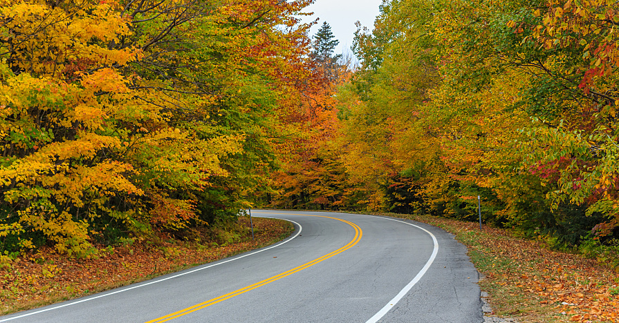 Fall driving hazards include distracting, slippery, yet striking foliage like this.