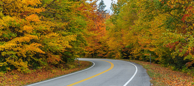 Fall Driving Hazards: What to Watch Out For