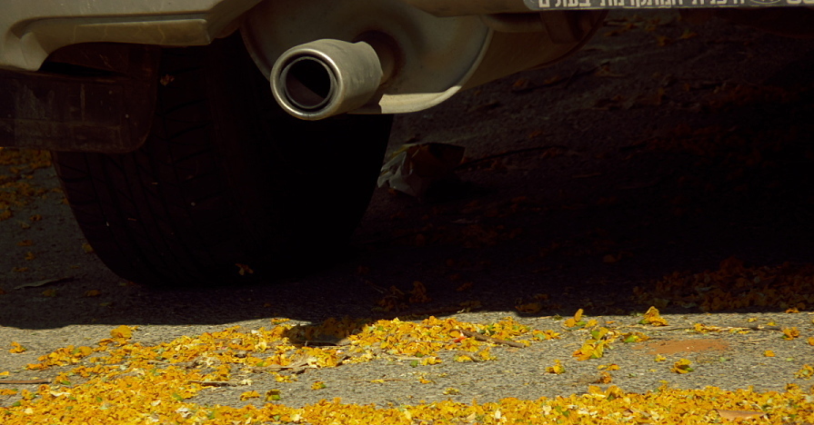 Leaves are a menace to your engine compartment during the fall.