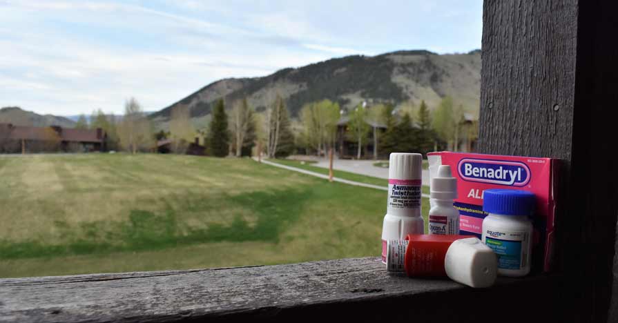 A porch railing is piled with Benadryl and other allergy medications. In the background is a gorgeous Midwestern scene: A grassy field stretches out to a stand of trees and a mountain.