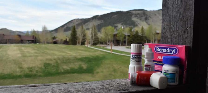 How to Allergy-Proof Your Car