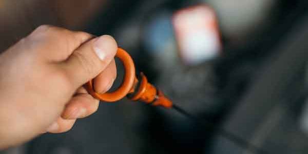 Can You Put Synthetic Oil in Any Car? Can You Put Synthetic Oil in Any Car?