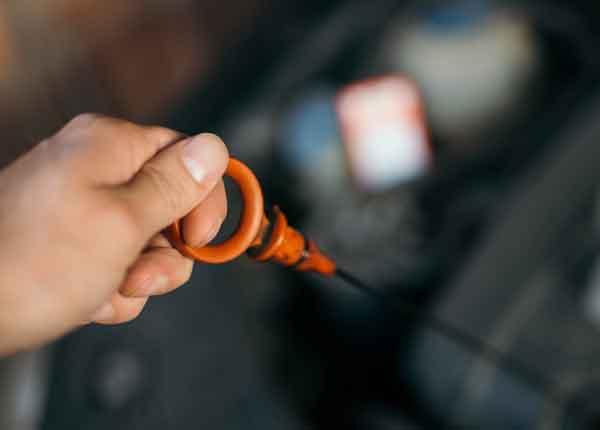 oil dipstick oil dipstick